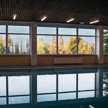 Penthouse Brockenblick 381 Braunlage